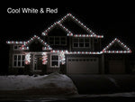 DIY Holiday Box (275 Feet)