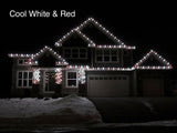 DIY Holiday Box (275 Feet)